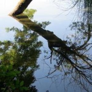 gedanken_20180314-140842_20180314-140855.jpg